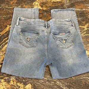 Hudson Lightwash Blue Jeans